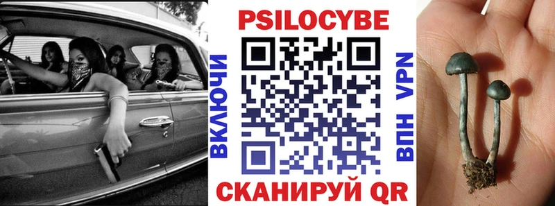 Галлюциногенные грибы ЛСД  МЕГА ССЫЛКА  Катайск  купить наркоту 